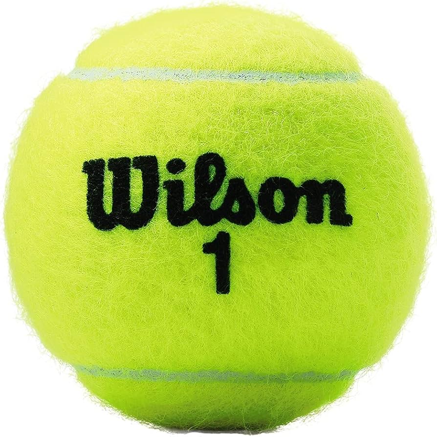 Championship Extra Duty Tennis Ball